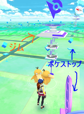 pokejim