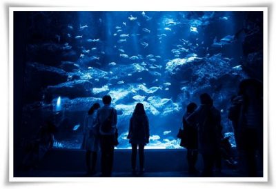 水族館