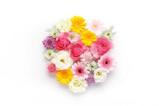 花言葉で感謝や尊敬を！親や先生に「ありがとう」の意味の花を春夏秋冬別に紹介！