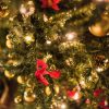 ディズニーのクリスマス2017！期間はいつから？パレードやお土産グッズのおすすめはコレ！