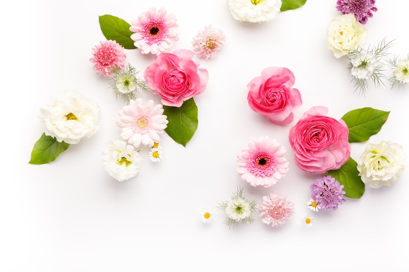 花言葉で健康を願う意味を持つ花は 回復や長生き 長寿 などにおすすめはコレ