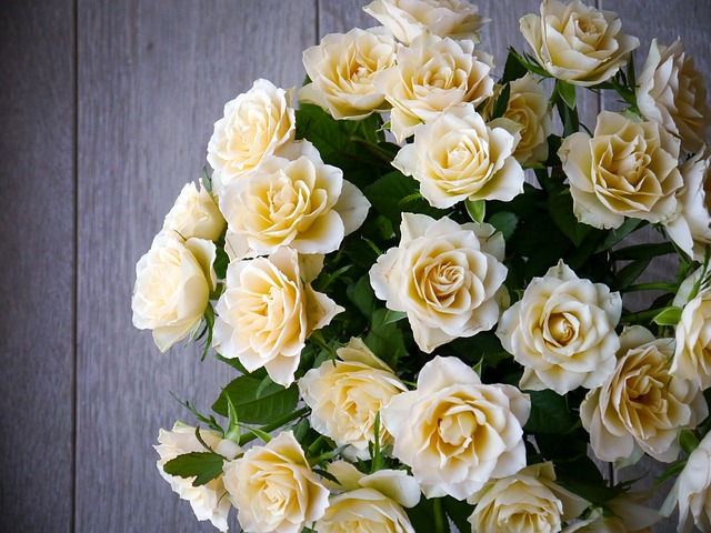 父の日に贈る花で父親への感謝や愛を伝える花言葉はどれ？由来や意味も紹介