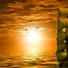 福山潤と立花慎之介が独立した理由はなぜ？社名BLACKSHIPの意味や所属メンバーも